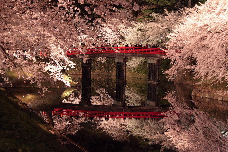 カップルや夫婦でしっぽりと 国内の三大夜桜のご紹介 東京にも 知っトク ナビたん