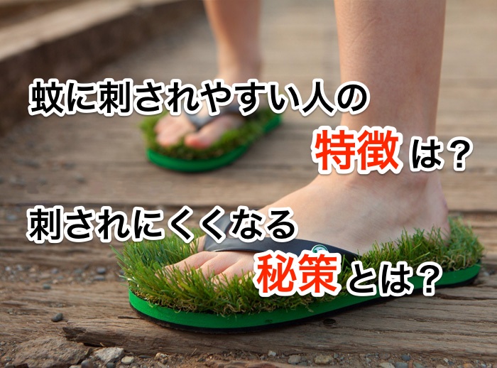 蚊に刺されやすい人の特徴は?刺されにくくなる秘策とは?